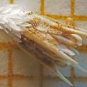 Img.VTax1504.Ex2.Img6