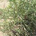 Img.VTax1506.Ex1.Img6