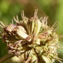 Img.VTax1551.Ex2.Img6