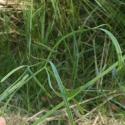 Img.VTax1551.Ex2.Img9