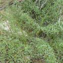 Img.VTax1617.Ex1.Img1