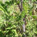 Img.VTax1634.Ex1.Img3