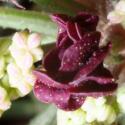 Img.VTax1634.Ex3.Img6