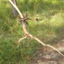 Img.VTax1637.Ex1.Img8