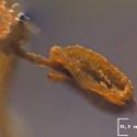 Img.VTax1649.Ex3.Img3