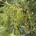 Img.VTax1652.Ex1.Img6