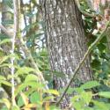 Img.VTax1682.Ex1.Img6