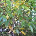 Img.VTax1682.Ex1.Img7