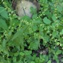 Img.VTax1801.Ex1.Img1