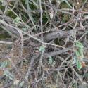 Img.VTax1821.Ex1.Img1