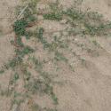 Img.VTax1825.Ex1.Img1