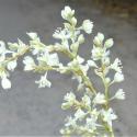 Img.VTax1830.Ex1.Img1