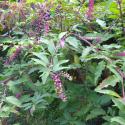Img.VTax1831.Ex1.Img6