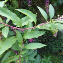 Img.VTax1831.Ex1.Img9