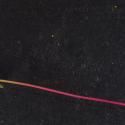Img.VTax1849.Ex1.Img10