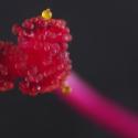 Img.VTax1849.Ex1.Img5