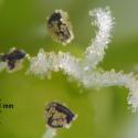 Img.VTax1904.Ex1.Img1