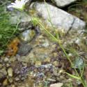 Img.VTax1908.Ex2.Img4