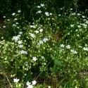 Img.VTax1908.Ex3.Img1
