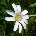 Img.VTax1908.Ex3.Img3
