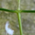 Img.VTax1908.Ex3.Img7