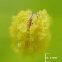 Img.VTax1955.Ex2.Img12