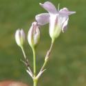 Img.VTax2029.Ex2.Img3