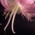 Img.VTax2035.Ex2.Img8