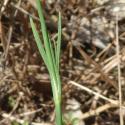 Img.VTax2039.Ex3.Img3