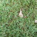 Img.VTax2062.Ex1.Img7