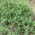 Img.VTax2089.Ex2.Img1