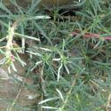 Img.VTax2096.Ex1.Img6