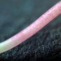 Img.VTax2144.Ex3.Img7