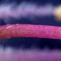 Img.VTax2144.Ex3.Img8