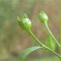 Img.VTax2199.Ex1.Img6