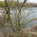 Img.VTax2238.Ex1.Img4