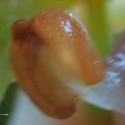 Img.VTax2248.Ex2.Img8