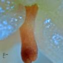 Img.VTax2248.Ex2.Img9