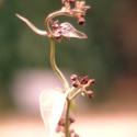 Img.VTax2295.Ex2.Img3