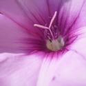 Img.VTax2303.Ex1.Img6