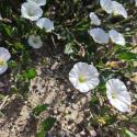 Img.VTax2304.Ex1.Img1
