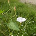 Img.VTax2304.Ex2.Img1