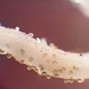 Img.VTax2304.Ex3.Img5