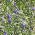 Img.VTax2343.Ex1.Img8