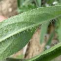 Img.VTax2343.Ex1.Img9