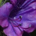 Img.VTax2344.Ex2.Img1