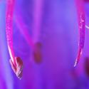 Img.VTax2344.Ex2.Img3