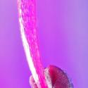 Img.VTax2344.Ex2.Img6