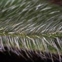 Img.VTax2344.Ex2.Img7
