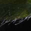 Img.VTax2344.Ex2.Img8